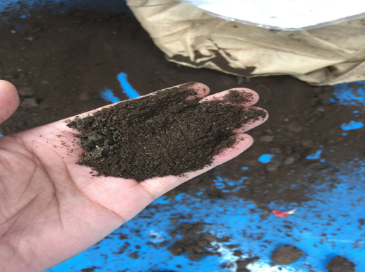 西安市污泥處理新模式 筒倉式污泥好氧發酵技術獲肯定